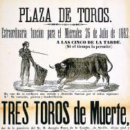 AGUADO. Plaça de bous: ... el dimecres 26 juliol 1882 ... bous ... 1882. ES.462508.ADPV / Cartells taurins / CT 19-379 , imatge nº 03183