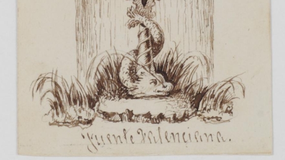 Un valenciano premiado en la Exposición Universal de Filadelfia del 1876