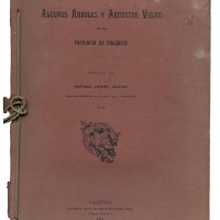 Algunos arboles y arbustos viejos 