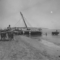AUTOR DESCONOCIDO. Pesca del bou en la playa de Valencia. 1916. ES.462508.ADPV/Colección Cháfer, imagen nº 02264