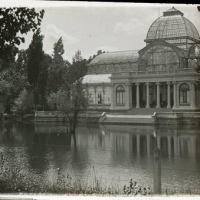 AUTOR DESCONOCIDO. Vista parcial del palacio de cristal en el parque del Retiro de Madrid. Madrid. 1916. ES.462508.ADPV/Colección Cháfer, imagen nº 02411