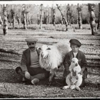 AUTOR DESCONOCIDO. Retrato de hombre y de niño con ovejas en Villaviciosa de Odón. Villaviciosa de Odón. 1915. ES.462508.ADPV/Colección Cháfer, imagen nº 02451