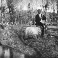 AUTOR DESCONOCIDO. Retrato de un pastor en Villaviciosa de Odón. 1915. ES.462508.ADPV/Colección Cháfer, imagen nº 02452