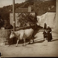 AUTOR DESCONOCIDO. Vista de una calle de Châteldon en Auvernia. 1900. ES.462508.ADPV/ Colección Gamón, imagen nº 06739