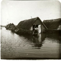 AUTOR DESCONOCIDO. Barracas en la Albufera. Valencia. 1900. ES.462508.ADPV/Colección Gamón, imagen nº 06886