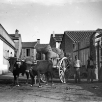 JUAN PONCE PARRÉS. Carro con dos bueyes en Ruzafa. 1915. ES.462508.ADPV/Colección Santiago Ponce, imagen nº 05997